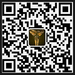 codes.png